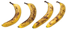 Overripe Bananas Isolated On White Background. Bananas With Black Dots.