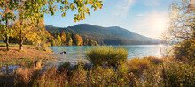 Beautiful Lake Shore Walchensee, Landscape Upper Bavaria In Autumnal Colors