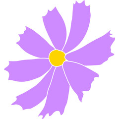 Wall Mural - Single cosmos flower vector simple illustration isolated on white background. Hand drawn colored version. Floral vector for childrens illustration, summer design, screen printing.