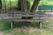 © gammaphotostudio - wooden bench in the park