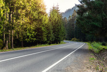 Empty Rural Highway Alpine Mountan Road At High Coniferous Pine Tree Bottom POV. Scenic Abstract Forest Roadway Landscape Foggy Spring Morning. European Nature Travel Car Concept. Nobody Car Scene