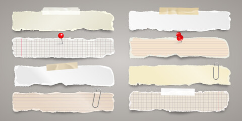 Long ripped paper strips with adhesive tape. Realistic crumpled paper scraps with torn edges. Lined shreds of notebook pages. Vector illustration.