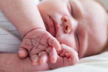 Sleeping Newborn Baby Hands Detail