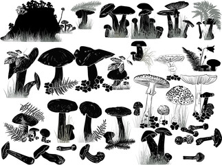 Poster - mushrooms sketches large set on white