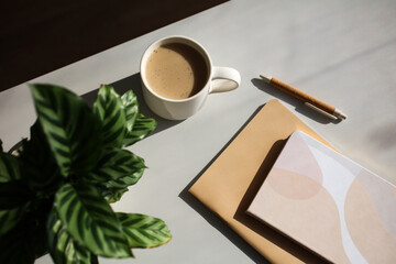 Wall Mural - Aesthetic feminine workspace. Cup of coffee, notebooks, green plant on home office desk table at sunset.