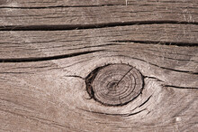 Texture Wood
