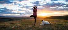 Woman With White Dog Doing Yoga At Sunset Tree Pose  Vrksasana
