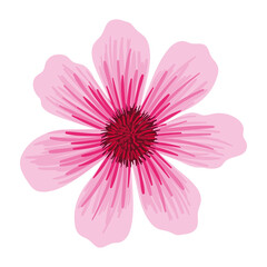 Poster - flower with pink leaves