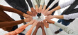 © Studio Romantic - Narrow banner of diverse multiracial people join hands in circle engaged in teambuilding activity at workplace. Motivated international team have teamwork training. Diversity concept.