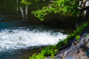 Canvas Print - waterfall in the forest