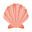 pink seashell design