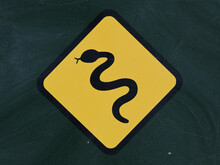 Close Up Of A Black Snake Icon, In A Yellow Diamond, On A Dark Green Sign To Warn People About The Presence Of Snakes In The Area