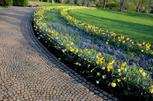 Annual Flowerbed In The Shape Of An Arch With Purple And White Yellow Flowers Bordered By A Low Fence Of Metal Gray Fittings. Landscaping With Lawns In Summer With Bulb, Bulbs