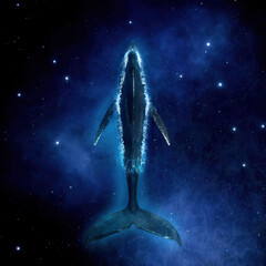 Wall Mural - Big whale swims in deep space of stars, nebulae and galaxies. Fantasy landscape cosmos diving blue whale in starry sky. 3d render