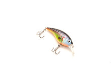 Vibrant Shad Crank Bait Fishing Lure With Sharp Hooks And Natural Movement Isolated On White Background