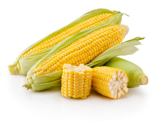 Wall Mural - Corn on cobs kernels and broken isolated on white background