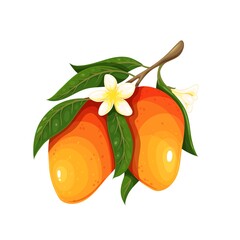 Canvas Print - Mango branch tree with mango fruits, flowers and leaves. Tropical fruit vector illustration.