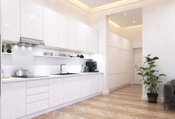 modern kitchen interior.