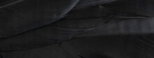 Macro Photo Of Black Feathers. Background Or Textura