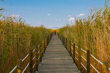 Wooden Bridge Walkway Path On Marshes And Reeds In Front Of Mountain. This Is From Sultan Sazligi And Erciyes Mountain In Kayseri Turkey. Pastoral Beautiful Landscape Background.