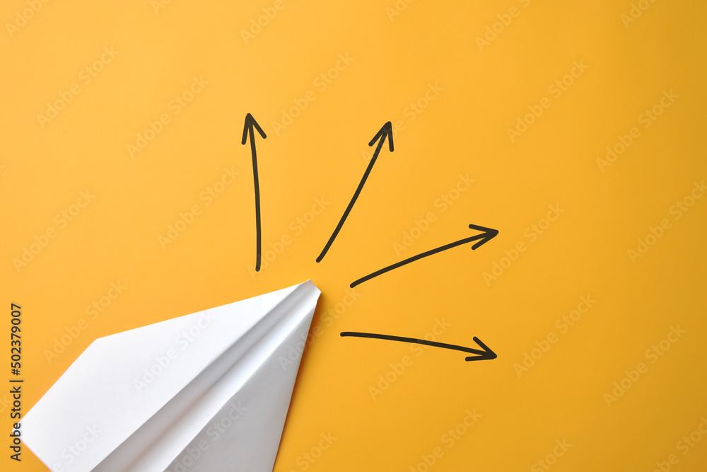 Problem Emerges The emergence of a problem and the search for solutions. Many options ...