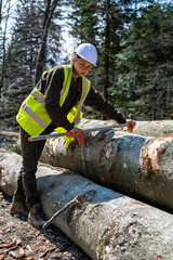 Wall Mural - Pretty woman working as a forester.