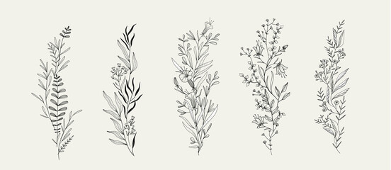 Wall Mural - trendy floral branch and minimalist flowers for logo or decorations. hand drawn line wedding herb, e