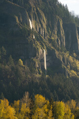 Wall Mural - Waterfall in the Columbia River Gorge, Oregon