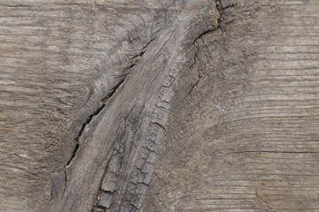 Wall Mural - Closeup photo of old gray wooden wall texture background