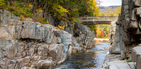 Poster - Scenic shot of a bridge that connects two hills and goes over a river surrounded by a forest