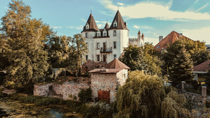 Poster - Beautiful view of the Chateau de Nyon castle with green trees against a cloudy sky in  Switzerland