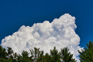 Sticker - Stunning view of white fluffy clouds in a blue sky over the trees