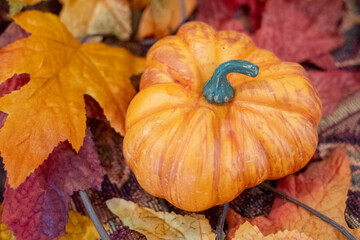 Sticker - Closeup of a pumpkin, the concept of Thanksgiving food