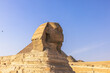 Giza, Egypt -  November 14, 2021: The Great Sphinx by the great ancient Pyramids of Giza, Egypt