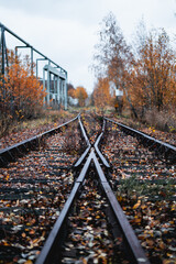 View of two railroads crossing; autumn in the countryside