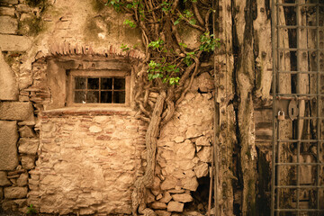 Poster - Ancient stone building exterior with window and creeping plant on medieval European building