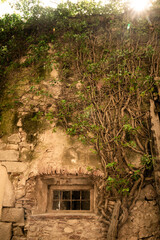 Poster - Ancient stone building exterior with window and creeping plant on medieval European building