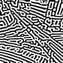 Black And White Reaction Diffusion Pattern Background