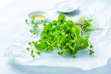 Winter Purslane, Indian Lettuce, Healthy Green Vegetables For Raw Salads And Cooking