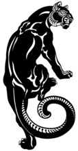 Panther Climbing Up. Decorative Black Leopard.  View From The Back And Head Turned In Profile. Tattoo Style Vector Illustration