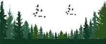 Forest Trees With Birds Silhouette Vector Illustration. Beautiful Forest Landscape Graphics.