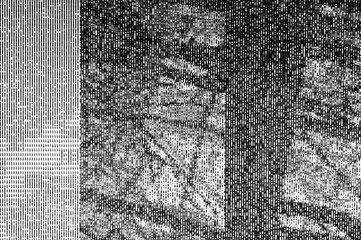 Wall Mural - pixel pattern of a digital glitch / abstract black and white pixel pattern background of a digital g