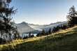 Wandern, morgens auf dem Weg auf das Morgenberghorn, Aussicht Richtung Interlaken, Thunersee und Brienzersee, berner Oberland, schweizer Alpen, Schweiz