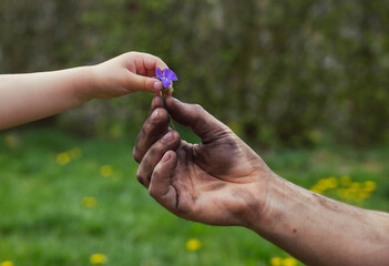 Father, dirty after work, gives his daughter a flower