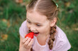 © Olya Komarova - Portrait of Happy cute little girl is eating strawberries at summer day. Soft focused.