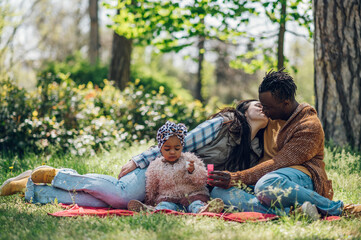 Wall Mural - Diverse family blowing soap bubbles in park