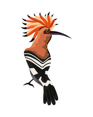 Canvas Print - hoopoe exotic bird