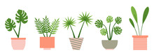 Houseplants In Colorful Pastel Flower Pots Set. Urban Jungle Decor. For Interior, Botany, House Decoration, Web And App Design. Palm, Sansevieria, Monstera, Fern, Unusual Flower. Vector Illustration