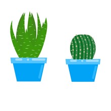Vector Graphics Illustration Of A Cactus Flower In A Blue Pot. Two Types Of Prickly Cactus Plant On A White Background. Perfect For Stickers, Home Decor, Children's Book Covers And Web Logo Designs.