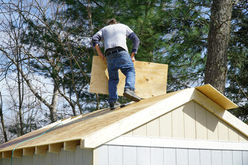 Wall Mural - worker building the roof of the house